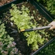 Ручка мала дерев'яна Fiskars OneClick S FSC (1080670) - зображення 4