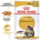 Вологий корм Royal Canin Maine Coon Adult (Роял Канін Мейн Кун) для кішок 12 x 85 гр - изображение 8