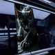 Наклейки на стойки дверей авто ARB 3D TUNING STUDIO Кот Ч 500х220х0.15мм=2штуки - изображение 2
