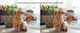 Комплект 2 шт IP-Камер видеонаблюдения YI Pro 2K Home Camera White YYS.62121 (Global) - изображение 9