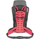 Рюкзак Salewa Alptrek 38 BP Wmn - изображение 2