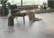 Керамогранит Almera Ceramica Pantheon Ev Gri Cr Mt 60x120см - изображение 3