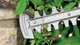 Кусторез Bosch AdvancedHedgeCut 70 (06008C0903) - изображение 8