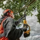 Высоторез аккумуляторный бесщеточный DeWALT DCMPS567N - изображение 8