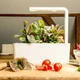 Гроубокс Click and Grow стартовый белый 31,5см (7205 SG3) - изображение 6