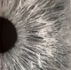 Peter Gabriel - I/O (Bright-Side Mixes) (2 пластинки, Раскладная обложка, Альбом) - изображение 4