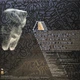 MF Doom - Born Like This (2 пластинки, Альбом, Лимитированое, Переиздание) - изображение 8