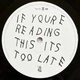 Drake - If You're Reading This It's Too Late (2 пластинки, Микстейп) - изображение 5