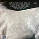 Beyoncé - Cowboy Carter (2 платівки, Альбом) - зображення 2