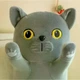Мягкая плюшевая игрушка-подушка «Кот-Батон» 130 см, антистресс - изображение 5