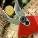 Электрический секатор Secateur 48V в чемодане с 2 аккумуляторами - изображение 5