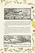 Книга «Казка про містера Лиса. Казка про місіс Кольколь». Автор - Беатрікс Поттер - зображення 3