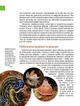Книга «Тварини - майстри маскування. Енциклопедія для допитливих». Автор - Андрій Гапченко - изображение 4