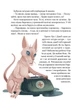Книга «36 і 6 котів-рятувальників». Автор - Галина Вдовиченко - изображение 8