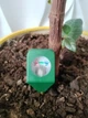 Аналізатор вологості ґрунту Home Garden Edition компактний датчик для квітів та розсади (90 мм) - изображение 3