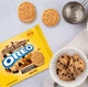 Печиво Oreo Cookie Dough Flavor Creme Sandwich Cookies 303г - зображення 3