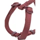 Шлея Trixie Premium H-harness для собак XS–S 30–44 см 10 мм бордова 4053032672871 - зображення 2