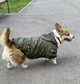 Куртка для собак средних пород DIEGO jacket хаки водоотталкивающая для такс Размер L демисезонная со светоотражателями - изображение 7