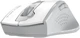 Мышь A4Tech Fstyler FG55S Plus Wireless White (4711421003438) - изображение 6