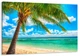 Картина на полотні Art Dekors Море пальма 30x60 см MLP 88 - зображення 1