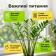 Хвиляста скоба для рослин 2.6мм/30см кільцева опора для томатів квітів підпора пружинна сталь ґрунтова - зображення 4
