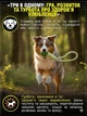 Игрушка для собак и кошек канат с мячом для зубов Petify RopeBall M озёрный голубой, 37 см, мяч 5 см, плетёные узлы, стойкая к укусам, пластик, Арт. ТМ24 - изображение 2