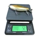 Воблер Fish Arrow Fish Arrow Flat Jack, Golden shiner, б/в - изображение 8