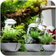 Мінітераріум Chihiros Tiny Terrarium Egg з LED-підсвіткою та керуванням через застосунок - зображення 3