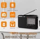 Радиоприемик XHDATA D 328 64 мГц -108 мГц, цыфровое радио з разширенным диапазоном ФМ - изображение 3