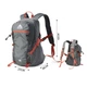 Рюкзак Pentagram IGEAOC 20L, спорт, туризм (3B11A01) Сірий - изображение 2
