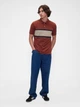 Поло длинное мужское GAP 681650309 M Коричневое (1159857486) - изображение 3