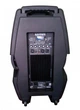 Haymer D15A-600W Активная акустическая система - изображение 4