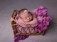 Марля для фотосессии новорождённого VTILENE, Vintage mauve, 60х200 см - изображение 4