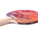 Ракетка для настольного тенниса Gewo Bat Fun-Starter FL (96990000) (931326) - изображение 3