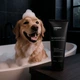 Шампунь для котів та собак Superium Silver Shampoo з колоїдним сріблом 250 мл (4823089378176) - зображення 4