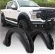 Ford F150 Mk13 2017+ расширители арок Off-Road Pocket Rivet L2298 - изображение 1