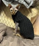 Свитер для котов (кошек) Косичка M Черный - изображение 3
