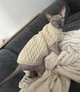 Свитер для котов (кошек) Косичка L Бежевый - изображение 8