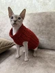Светр для котів (кішок) Косичка XS Червоний - зображення 4