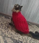 Светр для котів (кішок) Косичка XS Червоний - зображення 9