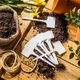 Садові таблички для рослин 10 шт, 14,5×5,5 см, пластикові, водостійкі, бірки для розсади та горщиків XJ5686 - зображення 4