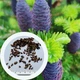 Ялиця бальзамічна насіння (20 шт) (Abies balsamea) пихта - зображення 1