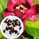 Каликант цветущий семена (5 шт) (Calycanthus floridus) красный флоридус - изображение 1