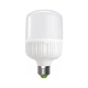 Лампочка EUROELECTRIC Plastic 30W E27 6500K 220V (LED-HP-30276(P)) - изображение 1