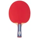 Ракетка для настольного тенниса Gewo Standard Pro FL (600300001) (931331) - изображение 1