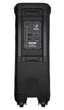 Аккумуляторная колонка ZXX-9292 с Bluetooth двумя микрофонами и пультом управления 200 Вт - изображение 3