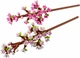 Конструктор Lego Botanicals Цветение вишни 40725 - изображение 11