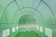 Теплиця Парник Тунель 3x4,5x2 - 13,5 м2 Зелений Focus Garden - изображение 10