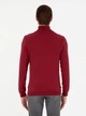 Гольф-водолазка мужская Pierre Cardin G021SZ0TK-000-2028197(Vişne) M Вишневая (8683857743249) - изображение 2