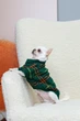 Свитер для собак Dogs Bomba в'язаний Burberry смарагд Y-366 7 р. - изображение 3